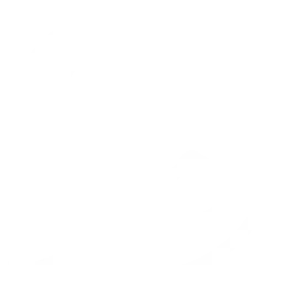 whatsapp (2)